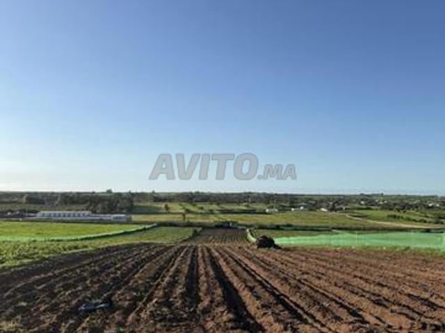 Propriété vente à El Ma, Gharb-Chrarda-Beni Hssen