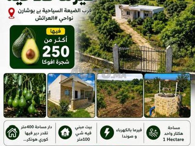 Propriété vente à Larache, Tanger-Tétouan