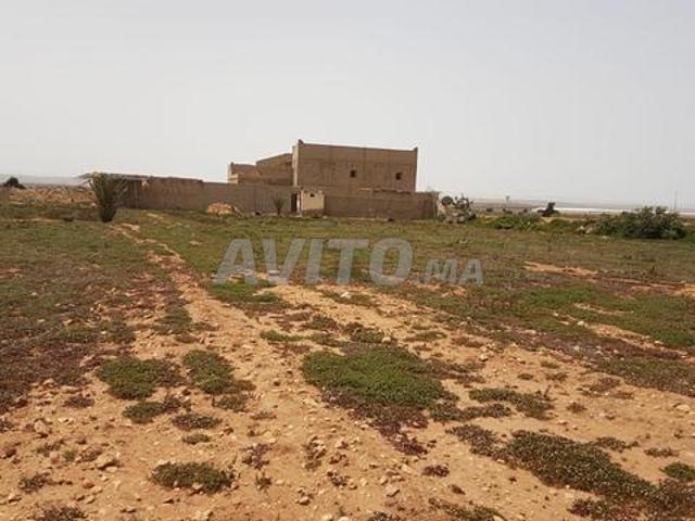 Propriété vente à Oued ed Dahab-Lagouira