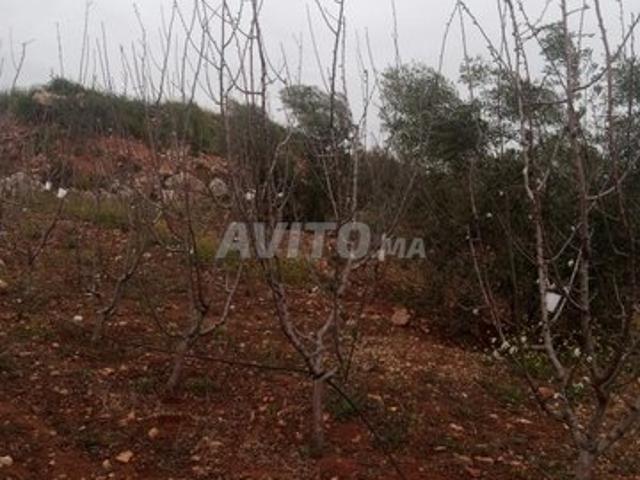 Propriété vente à Tahala