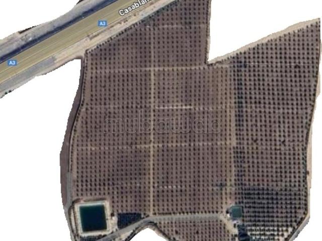 Ferme vente à Mzoudia, L'Oriental