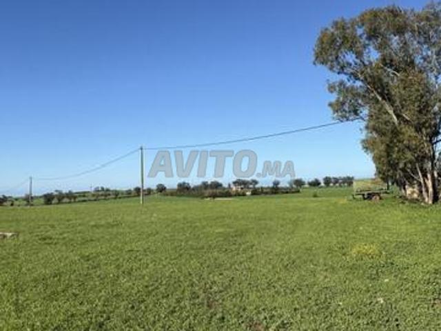 Propriété vente à El Ma, Gharb-Chrarda-Beni Hssen