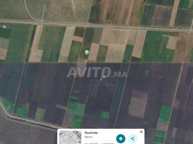 Propriété vente à Mechra Bel Ksiri