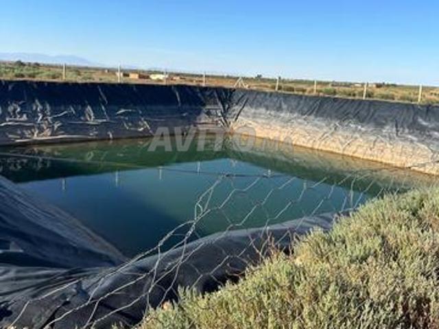 Propriété vente à Guercif