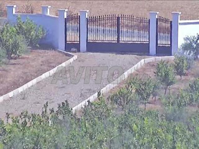 Propriété vente à Ait Khemis