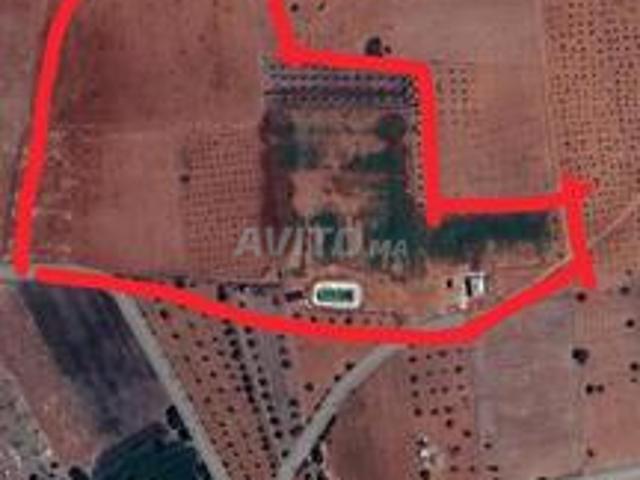 Propriété vente à El Ma, Gharb-Chrarda-Beni Hssen