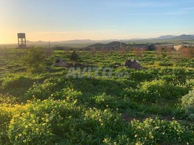 Propriété vente à Tamansourt, L'Oriental