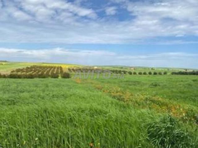 Propriété vente à Khouribga