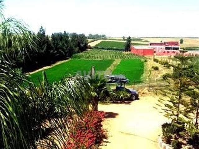 Propriété vente à Brachoua