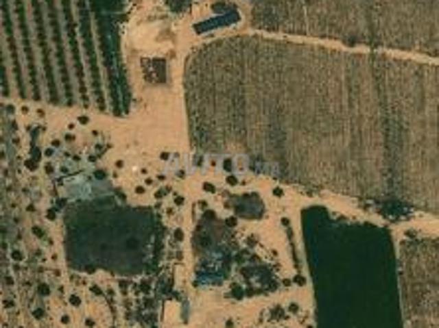 Propriété vente à Guercif