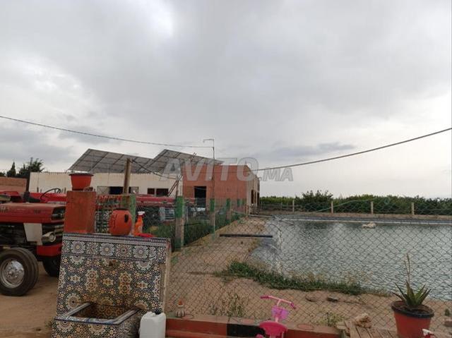 Propriété vente à Berkane