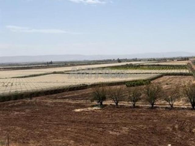 Propriété vente à Meknès