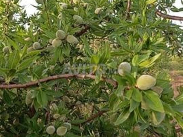 Propriété vente à Ben Slimane