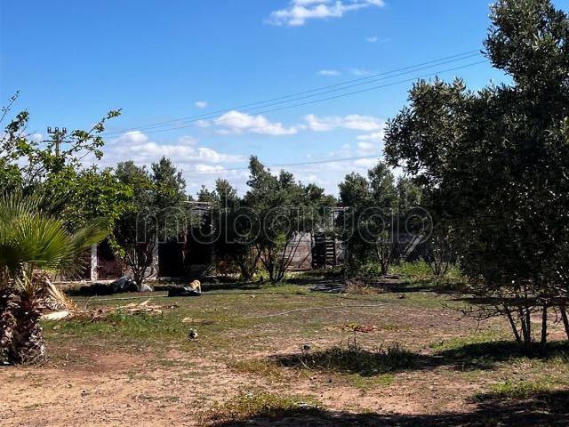 Ferme vente à Berrechid, Gharb-Chrarda-Beni Hssen