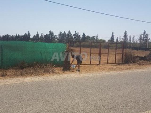 Propriété vente à El Ma, Gharb-Chrarda-Beni Hssen