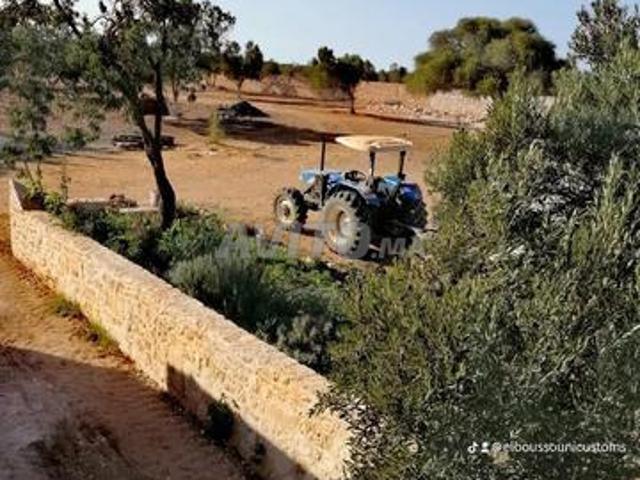 Propriété vente à Essaouira, L'Oriental