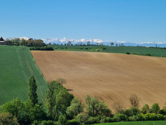 Maison vente à Muret, Saint-sulpice-sur-lèze