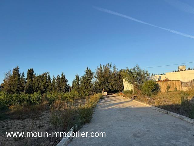 Ferme vente à Beni Khalled