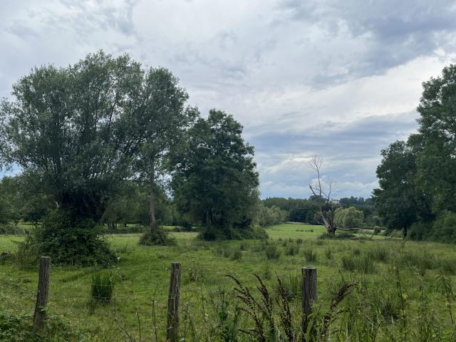 Ferme vente à Louhans-Châteaurenaud, Bouhans