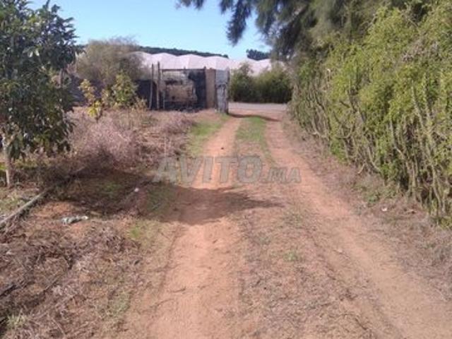 Propriété vente à Moulay Bousselham, Gharb-Chrarda-Beni Hssen