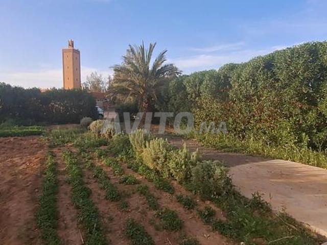 Propriété vente à Ben Slimane