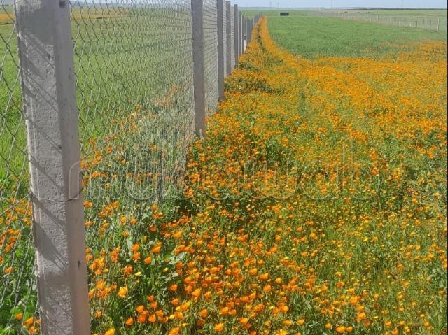 Ferme vente à Berrechid, Gharb-Chrarda-Beni Hssen
