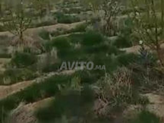 Propriété vente à Midelt ميدلت, Province de Midelt إقليم ميدلت