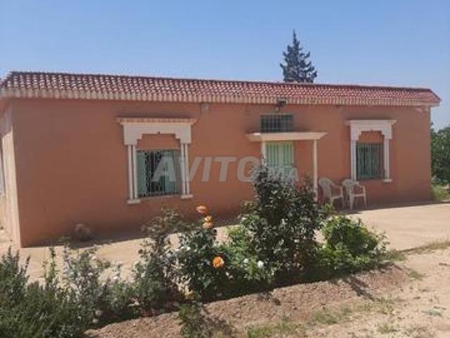 Propriété vente à Ben Ahmed, Gharb-Chrarda-Beni Hssen