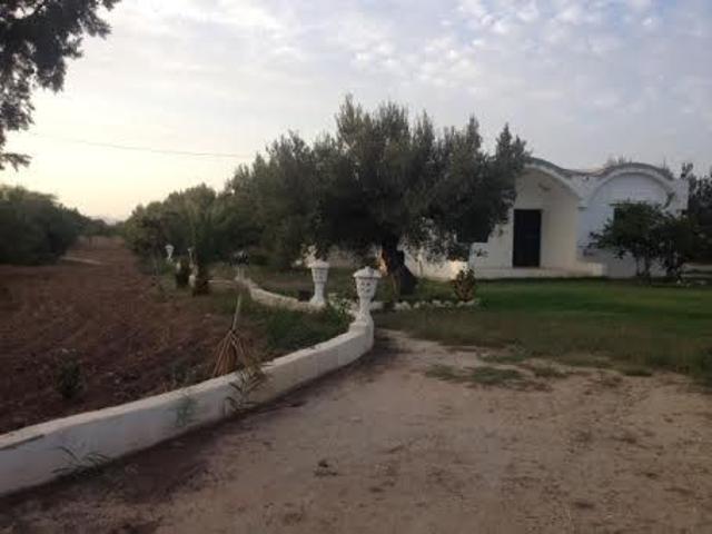 Ferme vente à Ksibet Sousse, Akouda