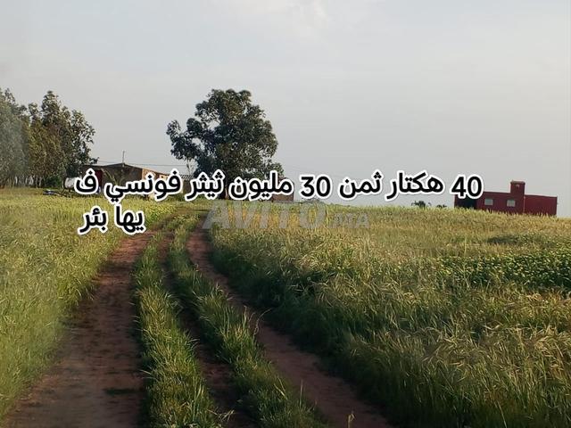 Propriété vente à Berrechid, Gharb-Chrarda-Beni Hssen
