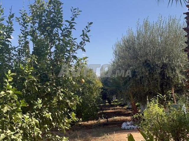 Propriété vente à Ain Taoujdat