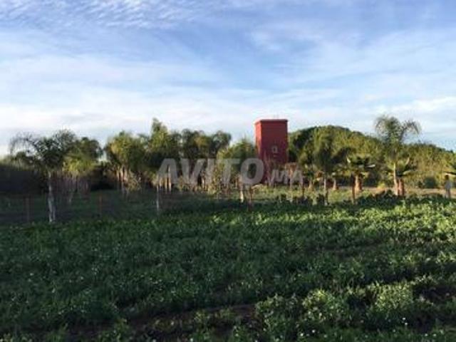 Propriété vente à Slimane, Gharb-Chrarda-Beni Hssen