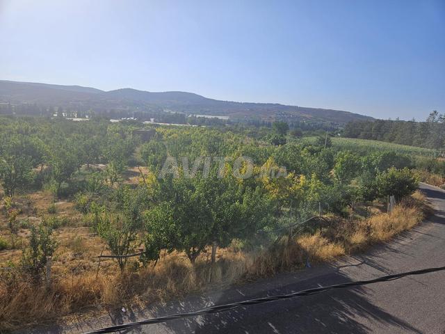 Propriété vente à Imouzzer Des Ida Ou Tanane, Oued ed Dahab-Lagouira