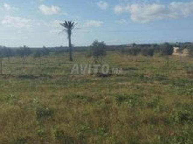 Propriété vente à El Ma, Gharb-Chrarda-Beni Hssen