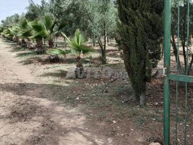 Propriété vente à Gharb-Chrarda-Beni Hssen