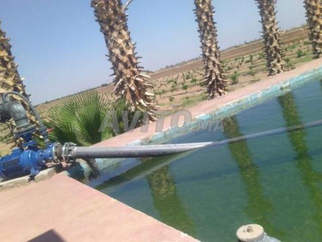 Propriété vente à L'Oriental