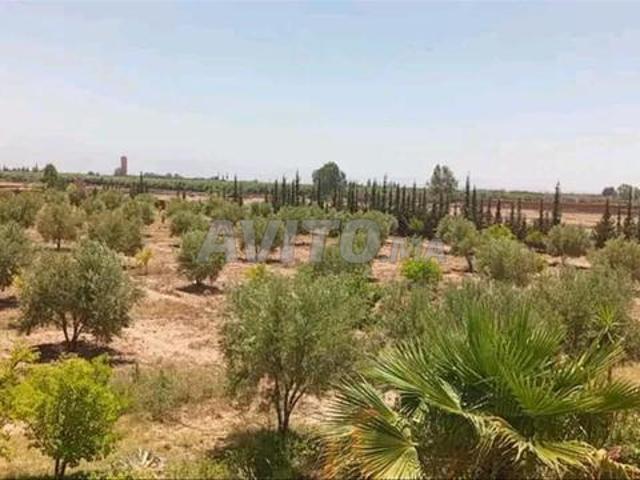 Propriété vente à L'Oriental