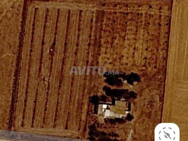 Propriété vente à El Ma, Gharb-Chrarda-Beni Hssen