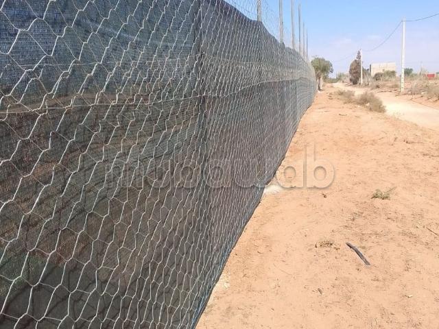 Ferme vente à Oued ed Dahab-Lagouira