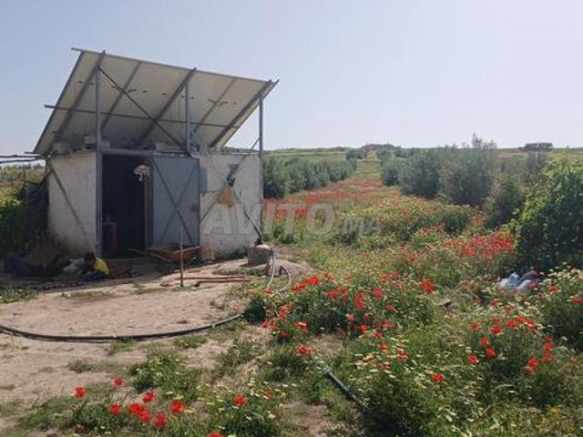 Propriété vente à Oued Zem