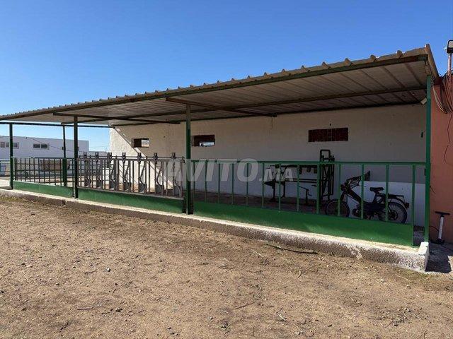 Propriété vente à Settat, Gharb-Chrarda-Beni Hssen