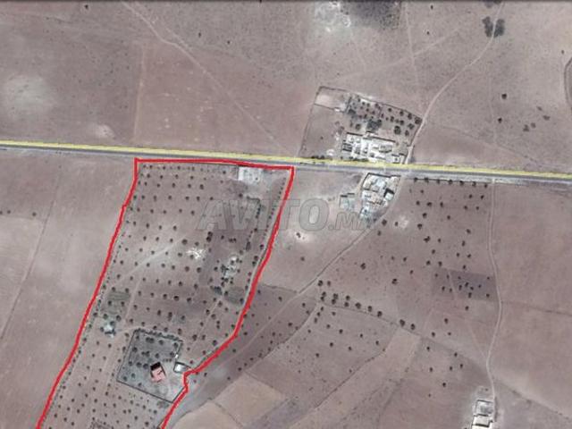 Propriété vente à Essaouira, L'Oriental