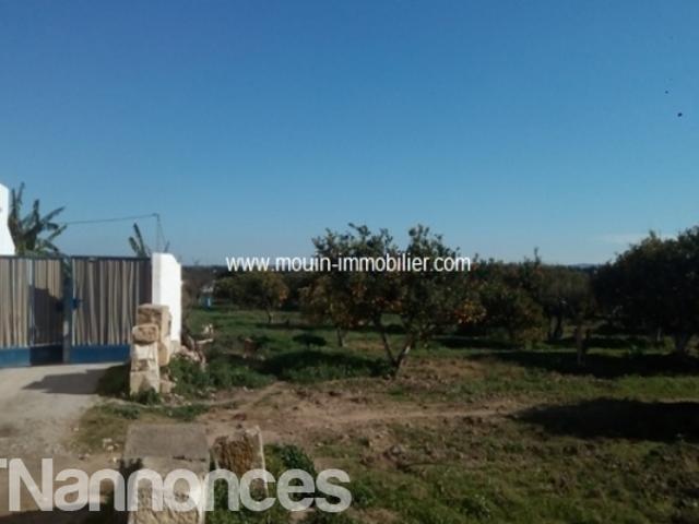 Terrain vente