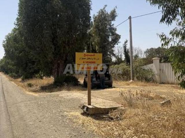 Propriété vente à Brachoua