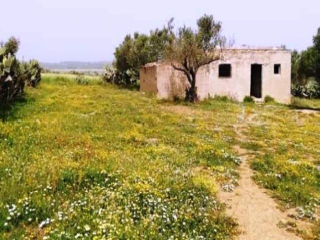 Terrain vente