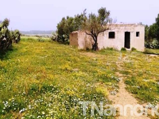 Terrain vente