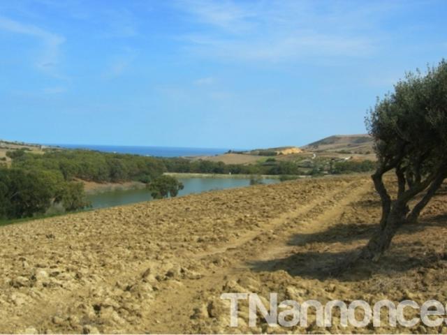 Terrain vente