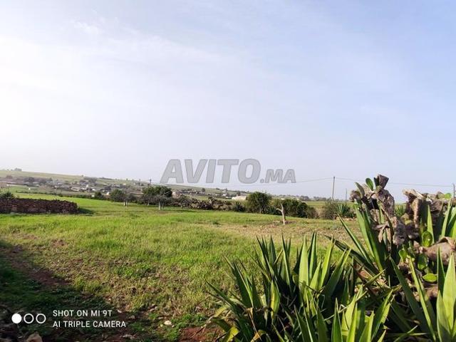 Propriété vente à El Ma, Gharb-Chrarda-Beni Hssen