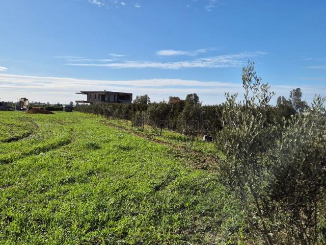 Ferme vente à Ben Slimane, Chaouia-Ouardigha