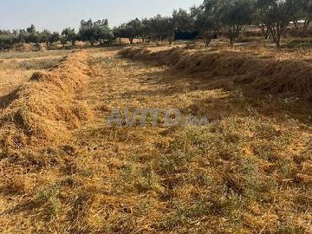 Propriété vente à Anfa, Gharb-Chrarda-Beni Hssen